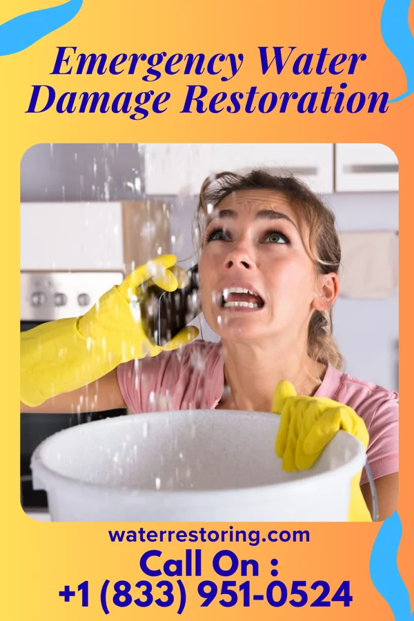 Emergency Water Damage Restoration in Maryville, IL