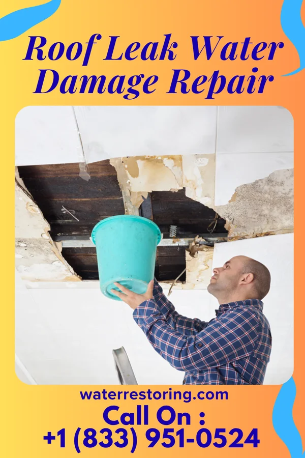 Roof Leak Water Damage Repair in Maryville, IL